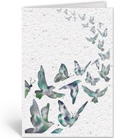 BIRDS AND BUTTERFLIES