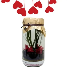 Preparation for arranged rum "Red Fruits Hibiscus" 3L, a DIY product featuring a glass jar filled with dark liquid, red flower petals, and green leaves.

The product appears to be a decorative arrangement featuring a glass jar filled with a dark liquid, likely a rum-based beverage, along with red flower petals and green leaves. The product is described as "Preparation for arranged rum 'Red Fruits Hibiscus' 3L" and is categorized as a DIY (do-it-yourself) item, suggesting it may be a kit or component for creating a personalized arrangement.