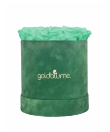 Colección Terciopelo Verde