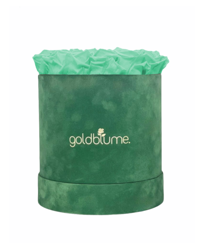 Colección Terciopelo Verde