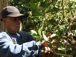 Espresso for Future (orgánico), 1 kg, granos enteros