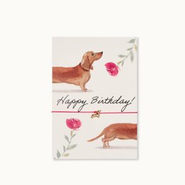 A birthday card featuring a dachshund dog surrounded by flowers and the text "Happy Birthday!"