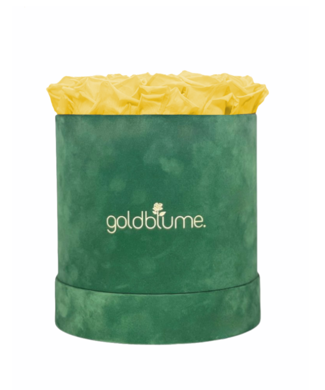 Colección Terciopelo Verde