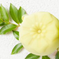 BODY BUTTER GREEN TEA