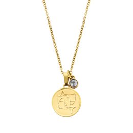 Gold-toned necklace with a zodiac Pisces pendant and a small crystal accent.