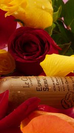 ESPRESSO SERUM - anti-wrinkle serum - 30 ml