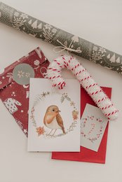 Pettirosso da cartolina di Natale