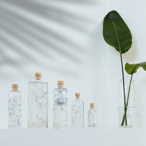 Het Herbarium - ondergedompelde plant Blue Gypsophila