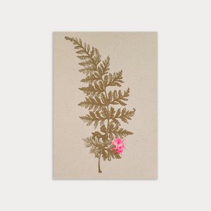 Postcard / fern with ladybugs / eco paper