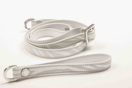Silver Zebra Set