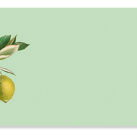 Notepad DIN long hangover