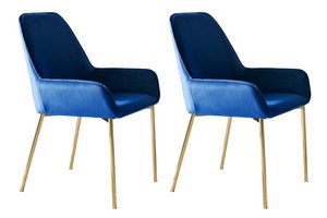 Eetkamerstoel set van 2 blauw fluweel