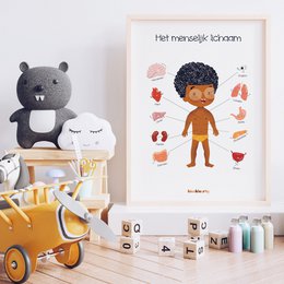 Temporadas - Póster educativo