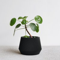 OSLO Indoor Planter