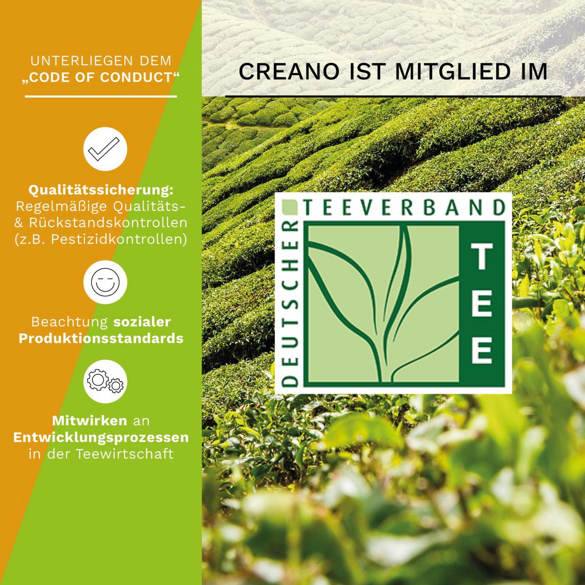 Creano 4 theebloemen geschenkdoos Teelini Mix