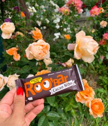 Cacao Nibs Bar, organic, Roobar, 30g
