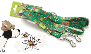 Hundeleine Alpin 240 x 2 cm