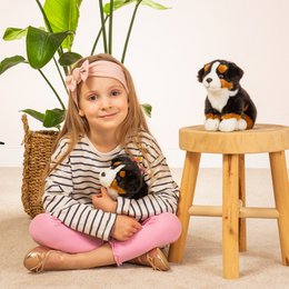 Berner Sennenhund siddende 21 cm - plyslegetøj - blødt legetøj