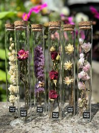 Tall glass tubes containing assorted dried flowers, including purple, white, and red blooms. The tubes have cork stoppers and are displayed on a wooden surface outdoors.