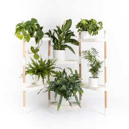 Plantehylder 6 bakker