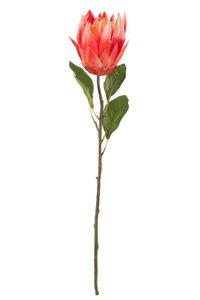 J-Line Protea Tak Plastiek Donker Rood