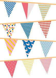 Slinger Anniversary Large - Limited Edition