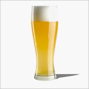 Bierglazen - 360ml - voor speciaal bieren en Weizen