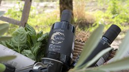ITALIA | SICILIA | Extra Virgin Olive Oil - il SALTO | 500 ml