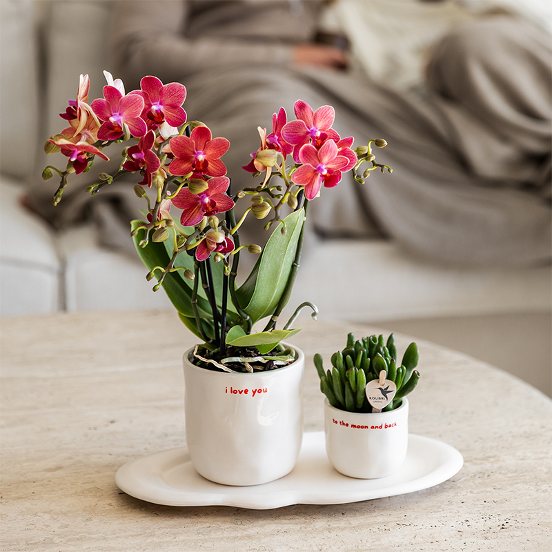 Decoratieve Pot I Love You Keramiek Ø6cm