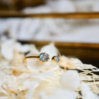 Labradorite Adjustable Ring - Daenerys