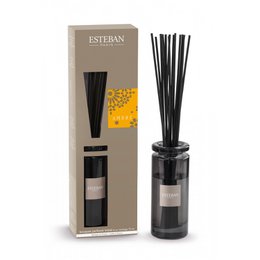  Black reed diffuser with amber fragrance, cylindrical glass bottle, minimalist home decor scent dispenser
