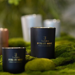 Forest Mist Duftkerze - Evergreen & Silver Birch