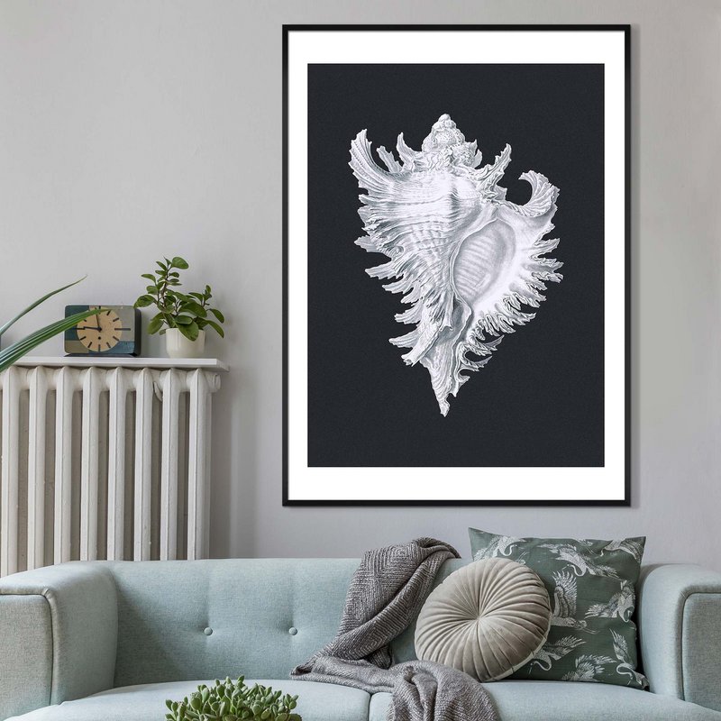 Stor Conch Sea Shell sort og hvid antik print