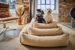 ORTHO hondenbed - TEDDY CREAM