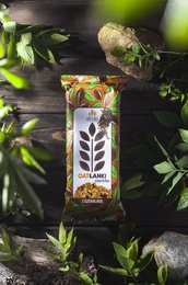 Oatmeal cookies with chocolate, 150g. Packaged in a colorful box with leaf and plant motifs, indicating a natural, organic product.