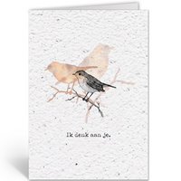 REDBREAST - I'M THINK OF YOU