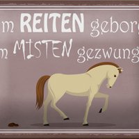 Blechschild Spruch 18x12cm zum Reiten geboren Pferd Dekoration