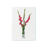 Ansichtkaart | Gladiolen