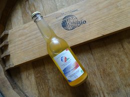 Organic kombucha drink in a glass bottle with the Le Druide brand logo. The kombucha is a fermented tea beverage with a golden yellow color.