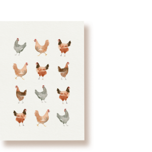 Ein Dutzend Hennen | Hühner Postkarte
