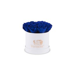 Flores Preservadas Caja Rosa Blanca