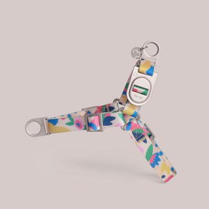 Gaston Harness