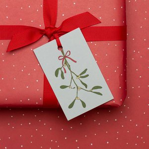 5 kerstcadeaukaartjes "Maretak" in munt gemaakt van 100% gerecycled papier