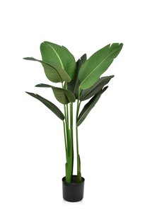 JUNGLE Künstliche Blume im Topf H:117cm