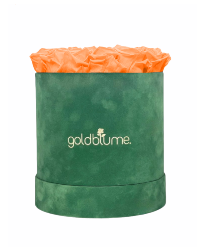 Colección Terciopelo Verde