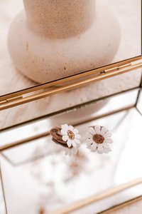 Gummibänder | Daisy Bronze