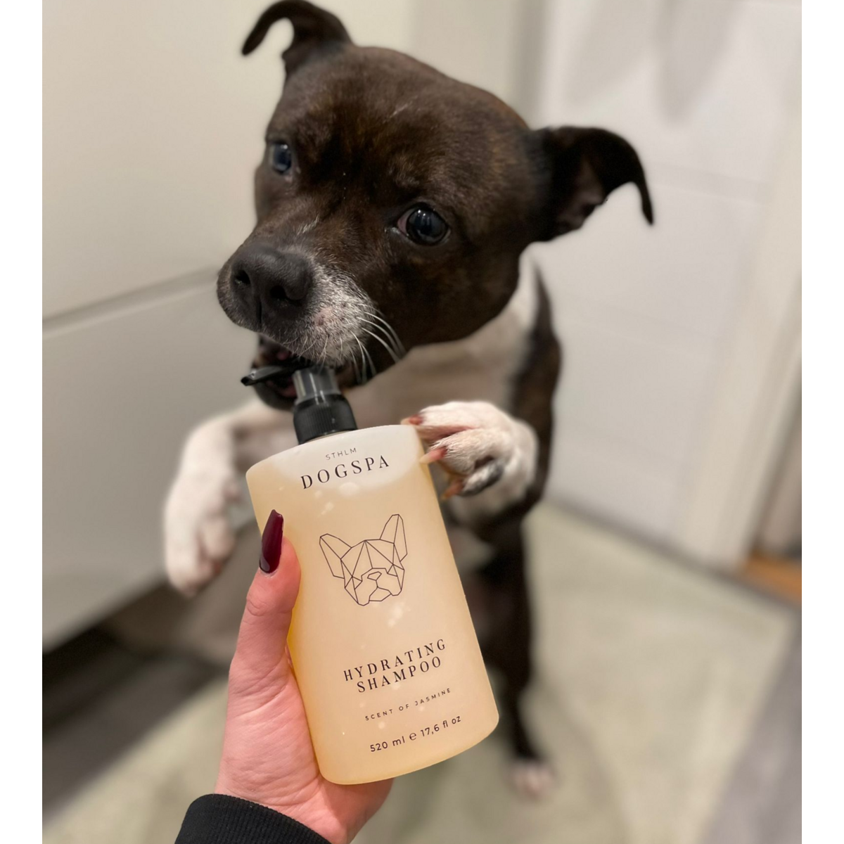 Champú hidratante para perros