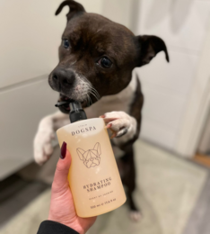 Champú hidratante para perros