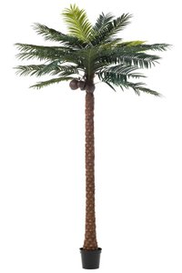 J-Line Palm Tree 4Coconut In Pot Plastic Green