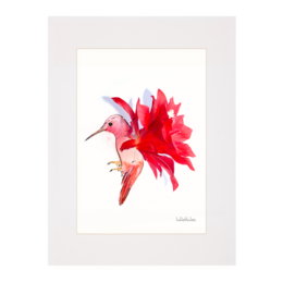 Kaktus-Kolibri - Art Prints
